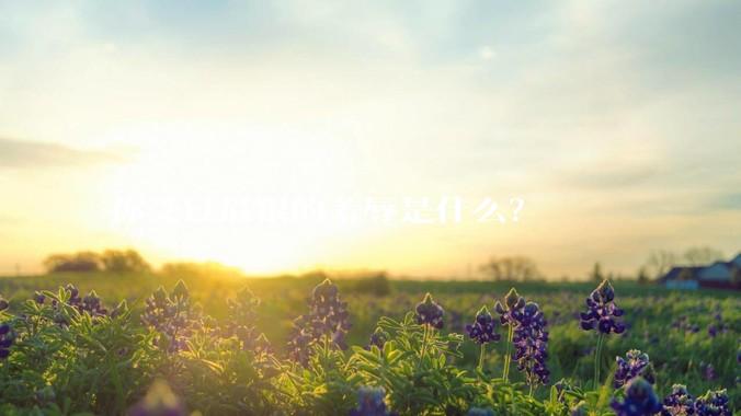 你受过最狠的羞辱是什么？