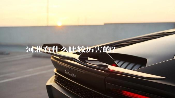 河北有什么比较厉害的？