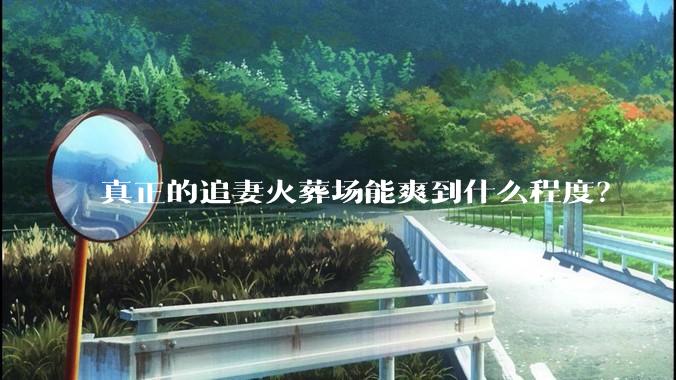 真正的追妻火葬场能爽到什么程度？
