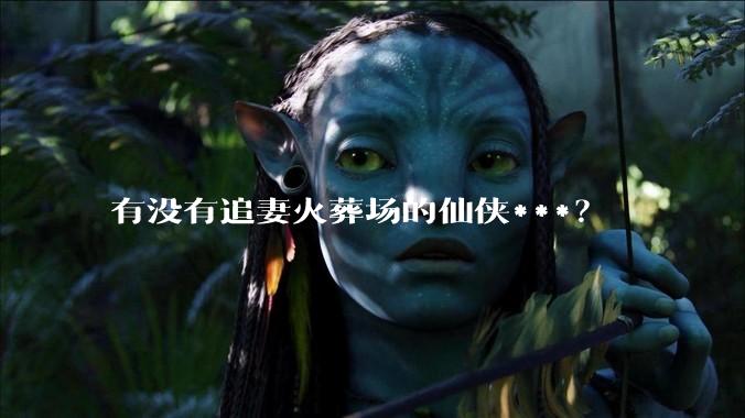 有没有追妻火葬场的仙侠***？