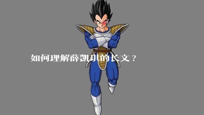 如何理解薛凯琪的长文?