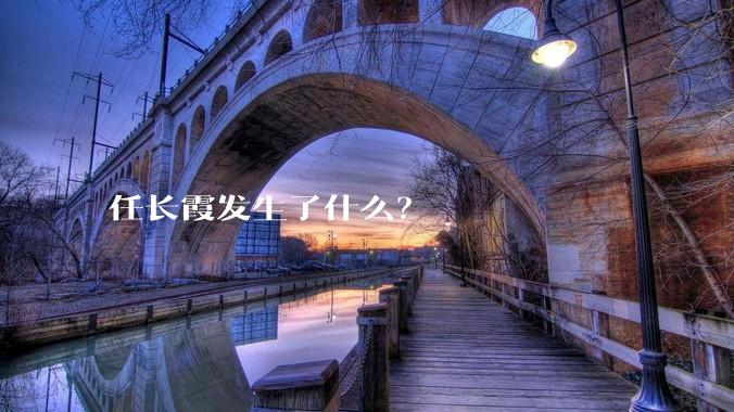任长霞发生了什么？