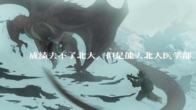 成绩去不了北大，但是能去北大医学部，应该去吗?