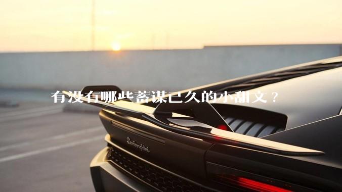有没有哪些蓄谋已久的小甜文?